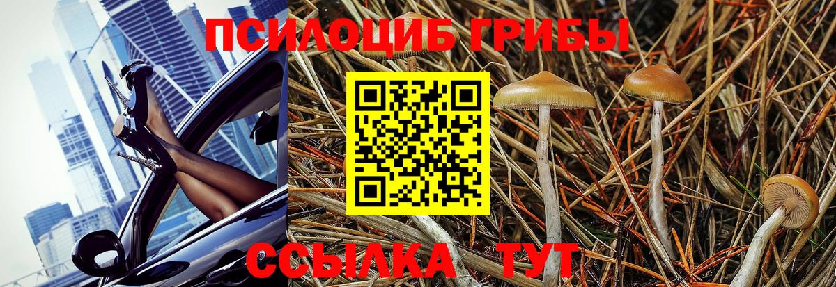 Кирово-Чепецк  Псилоцибиновые грибы Psilocybine cubensis  Вход с VPN  Галлюциногенные грибы Cubensis 